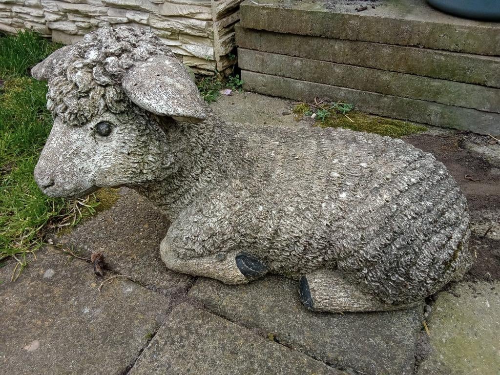 Betonnen Lam, Tuin en Terras, Ophalen