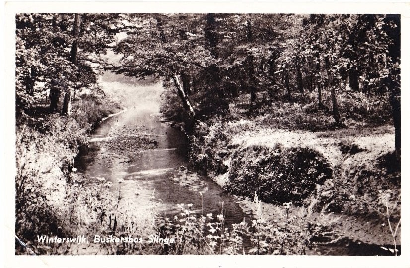Winterswijk Buskerbos Slinge Oude Gelopen Ansichtkaart B1760, Ophalen of Verzenden, 1960 tot 1980, Gelopen, Gelderland