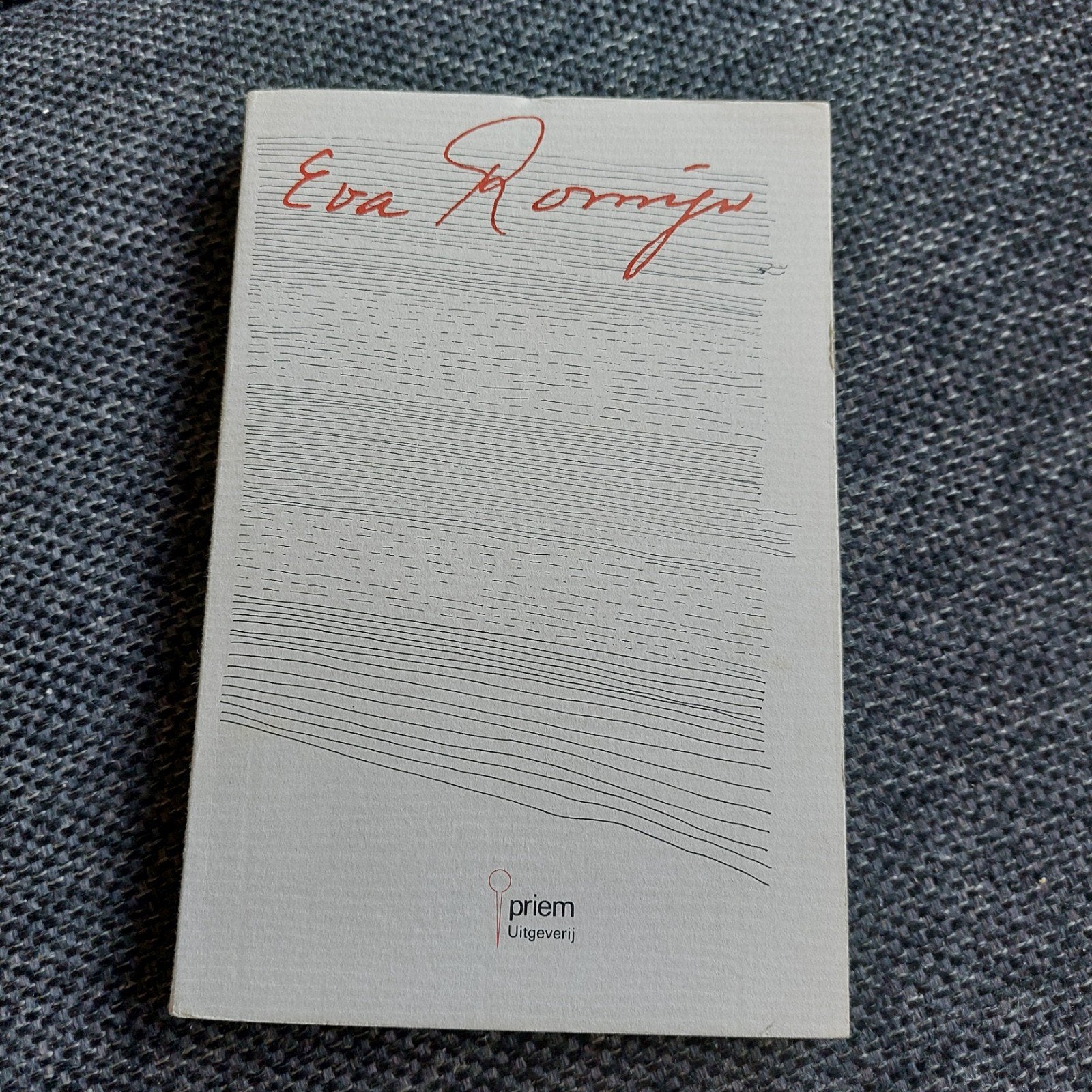 Eva Romijn - boek, Boeken, Ophalen of Verzenden, Gelezen, Eva Romijn, Nederland