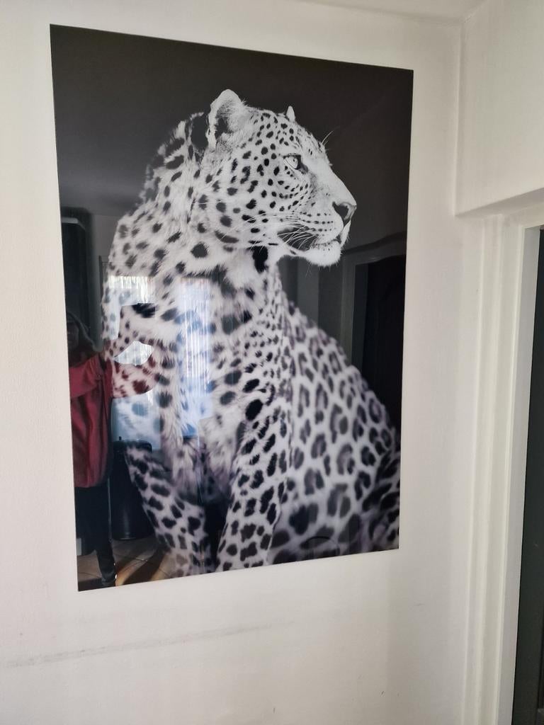 Glas schilderij leopard, Ophalen