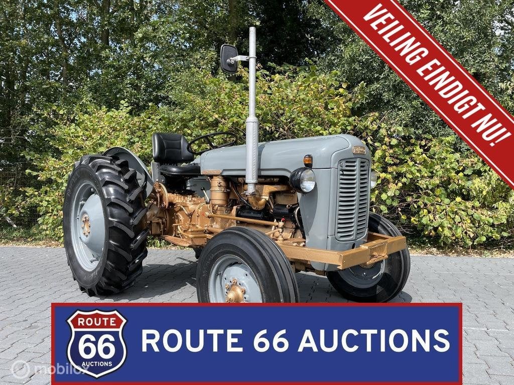 Massey Ferguson FE35 "Gold Belly" Tractor | 1957 | Route 66, Overige merken, Overige carrosserieën, Zwart, Bedrijf