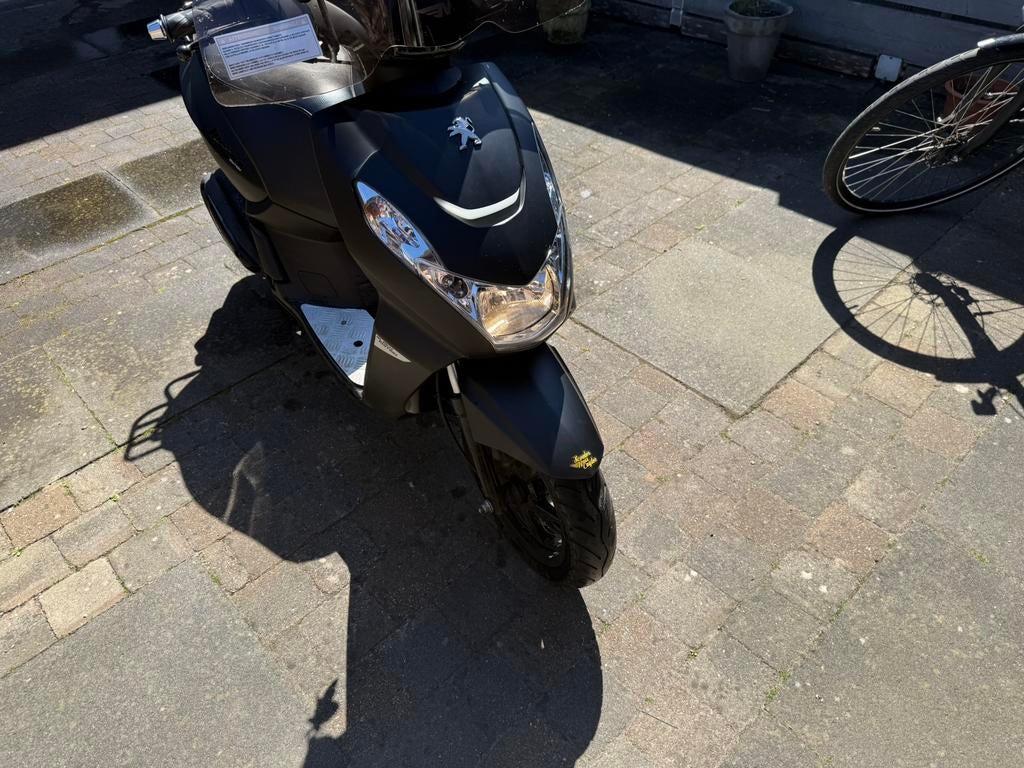 Kisbee 2020 45/km, Fietsen en Brommers, Scooters | Peugeot, Zo goed als nieuw, Overige modellen, Maximaal 45 km/u, Benzine, Ophalen