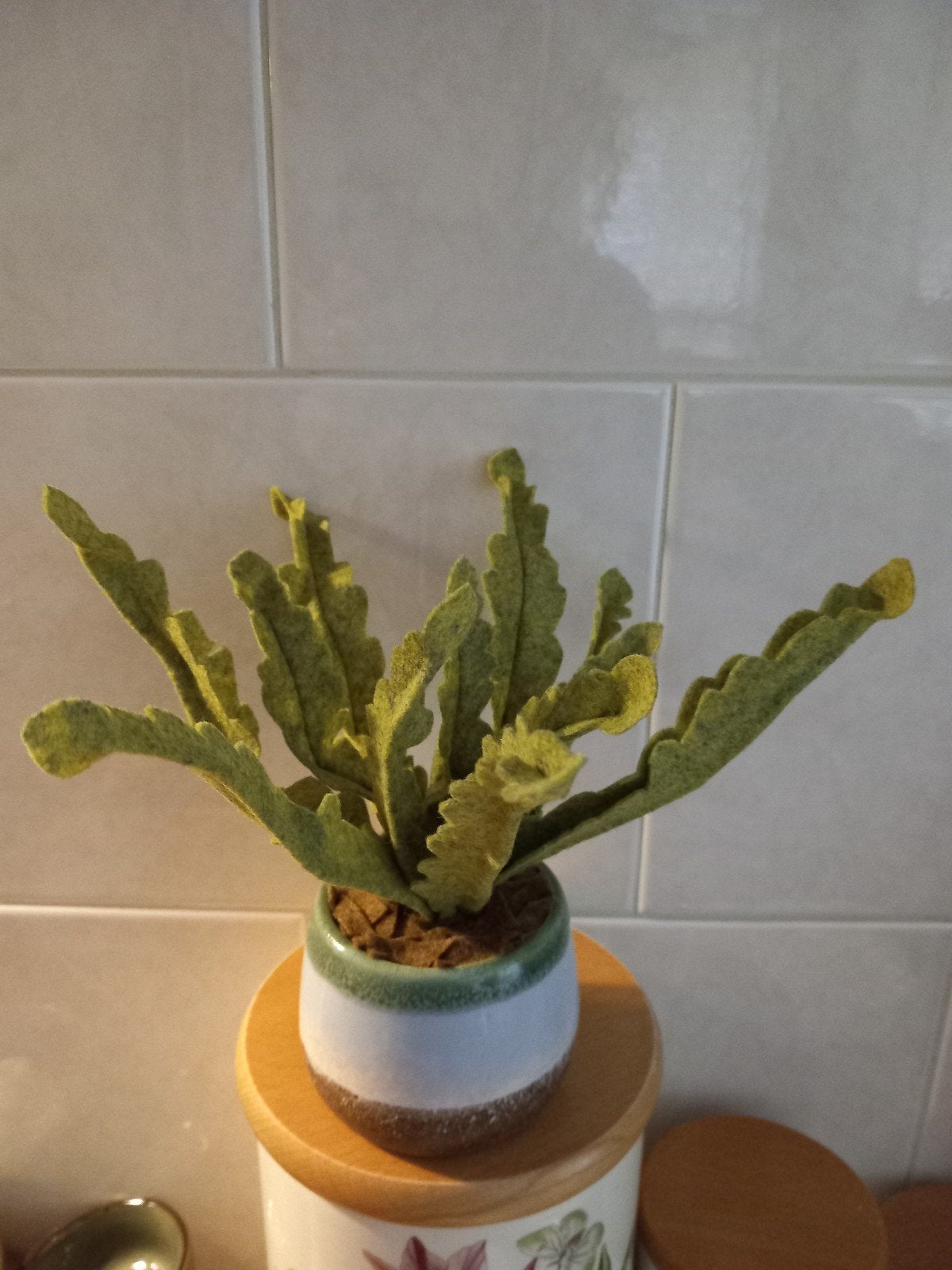 Handgemaakte Krulvaren Plant van Vilt - Inclusief Pot, Binnen, Groen, Handgemaakt, Kunstplant