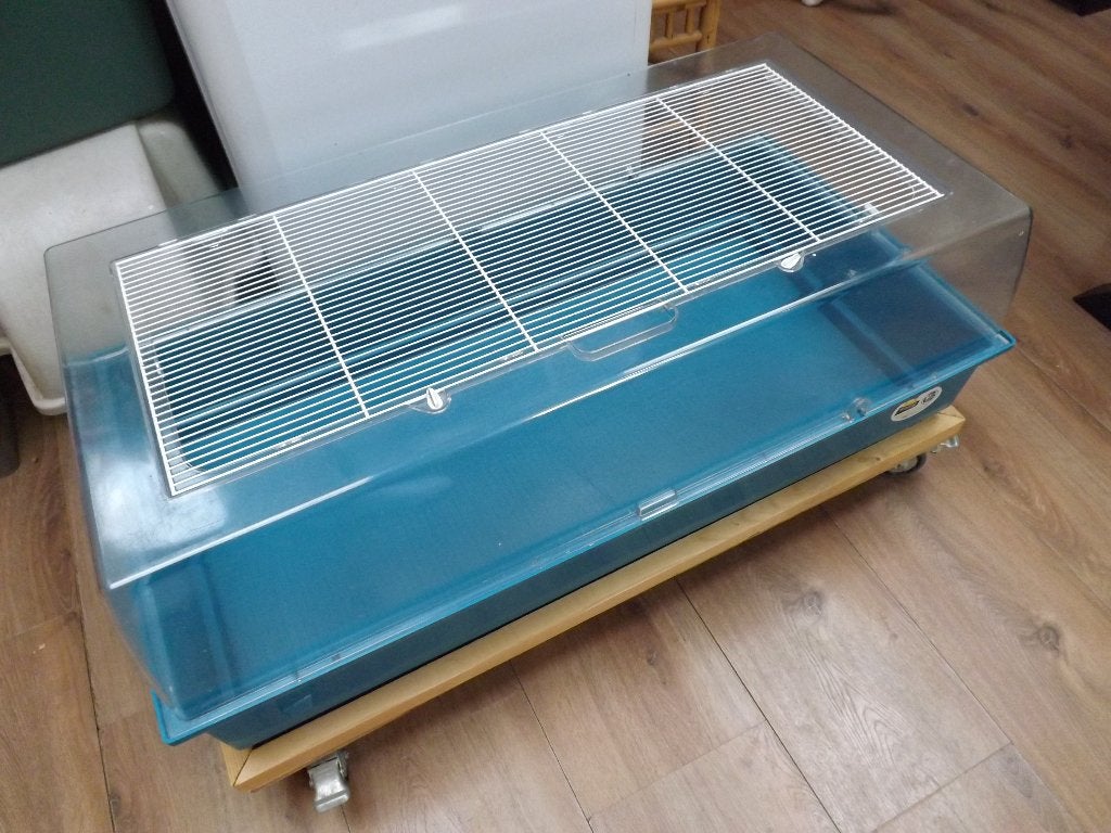 Kooi voor cavia en konijn, Kooi, Gebruikt, Konijn, 75 tot 110 cm