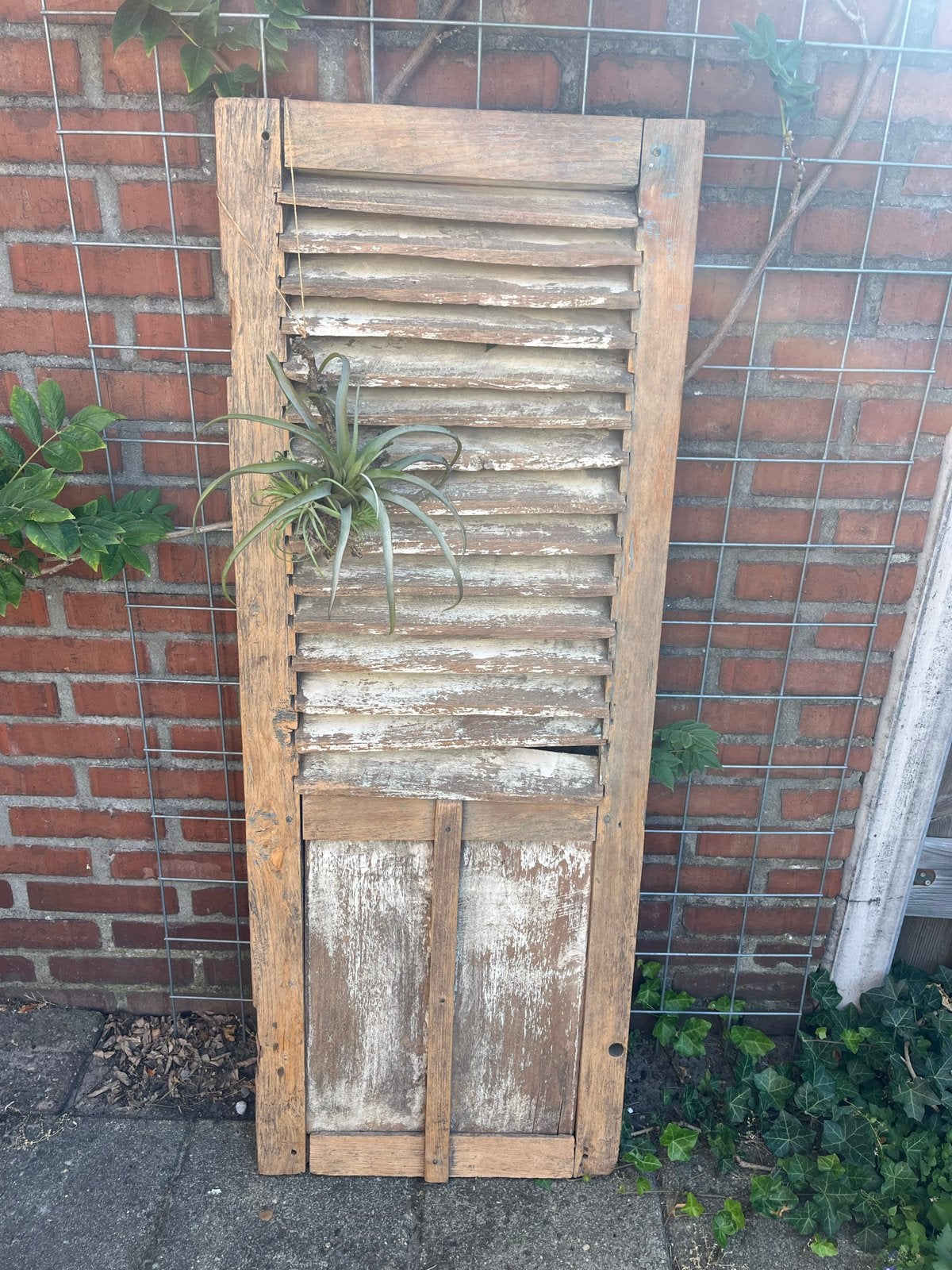 Oud houten luik - Decoratief of functioneel, Antiek en Kunst, Ophalen