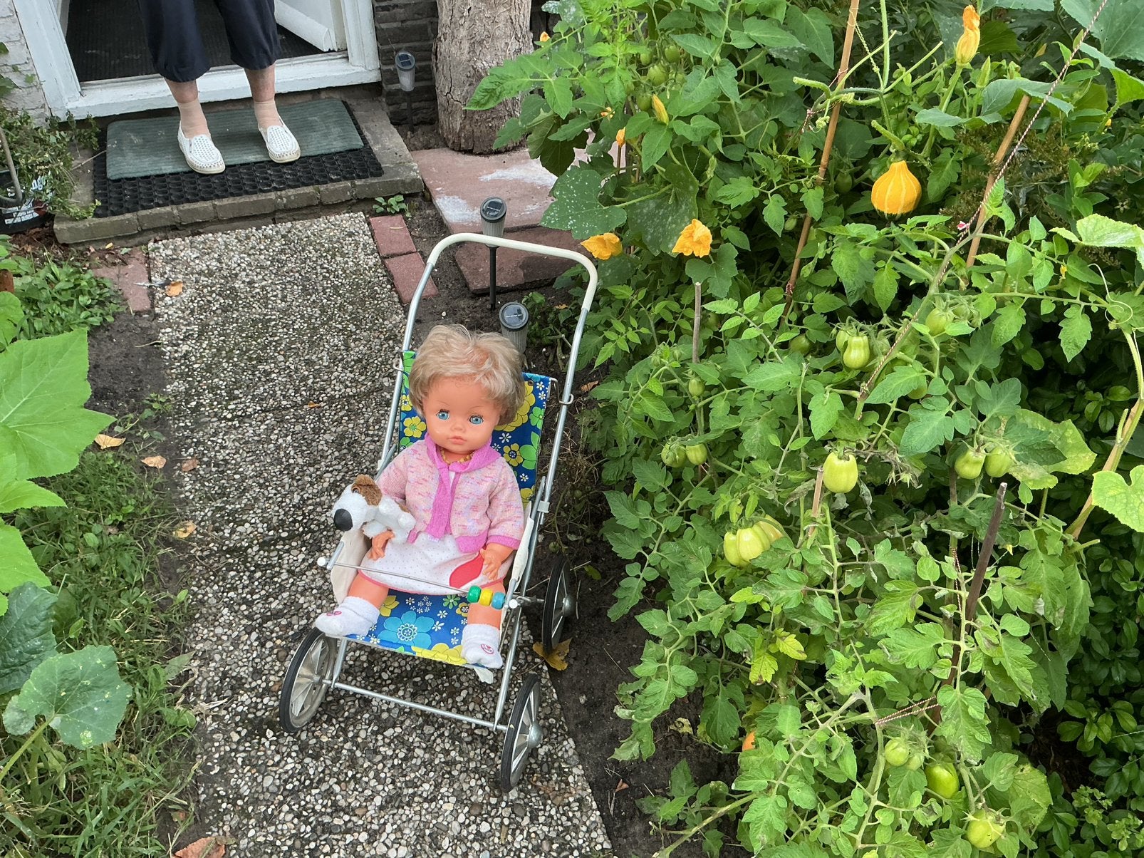 Bella pop in wagentje, Kinderen en Baby's, Speelgoed | Poppen, Ophalen of Verzenden, Zo goed als nieuw, Babypop