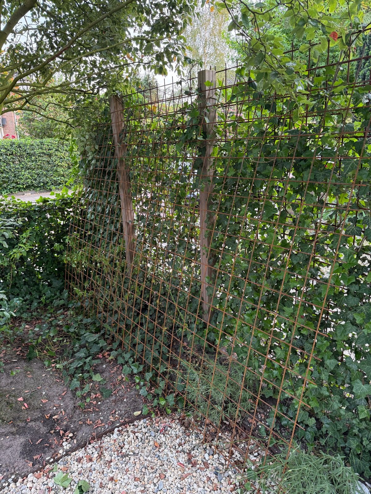 Betongaasmat 200x300cm - Ideaal voor klimplanten, Tuin en Terras, Gaas en Draad, Ophalen, Nieuw, Minder dan 10 meter, Gaas
