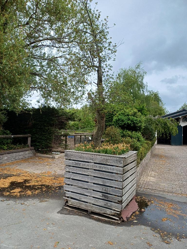 Gezocht houte kuubskist 1.50 x 1.20 x 92, Tuin en Terras, Minder dan 3 m³, Ophalen