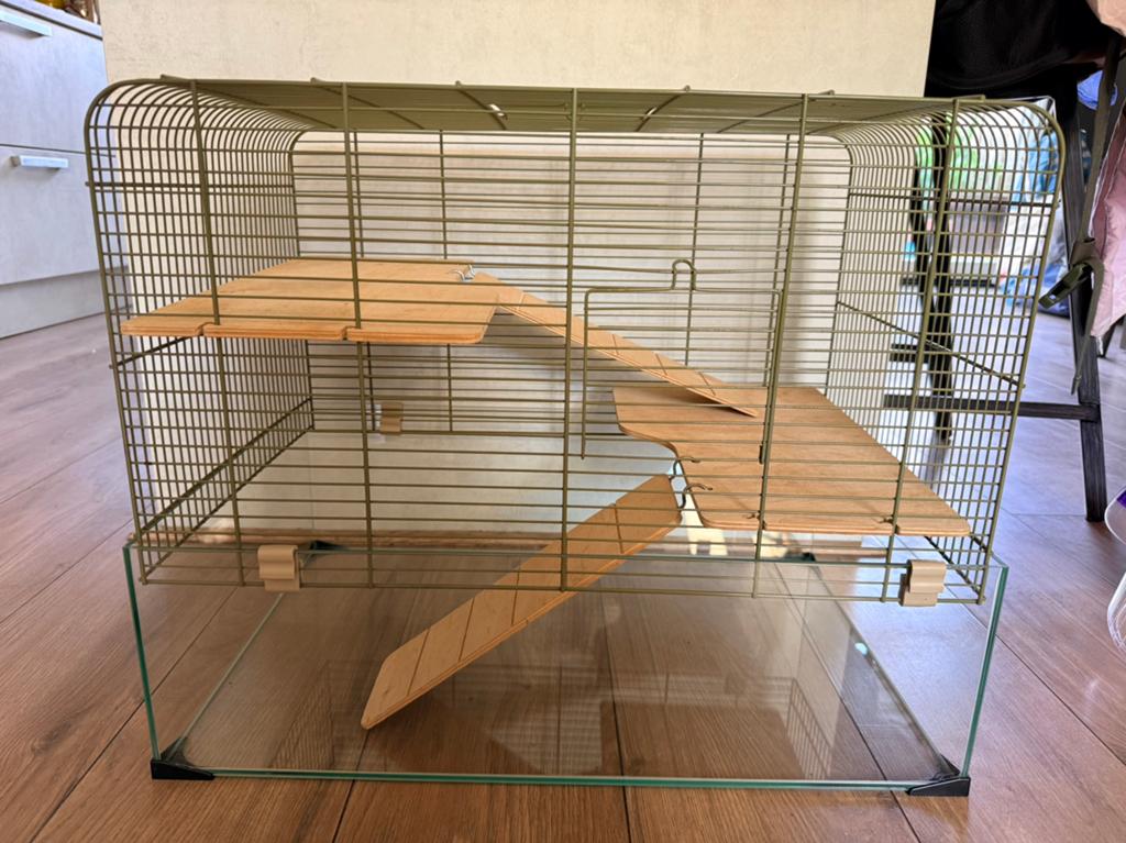 Hamsterkooi met glazenbak inclusief toebehoren, Ophalen, Kooi, 60 tot 90 cm, Minder dan 75 cm