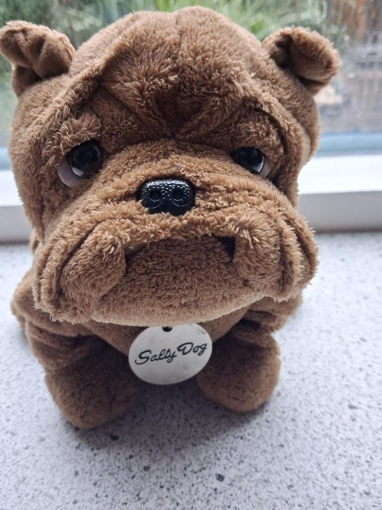 Buldog hond Salty Dog met nepleren halsband en penning, Ophalen of Verzenden, Zo goed als nieuw, Hond, Wasbaar