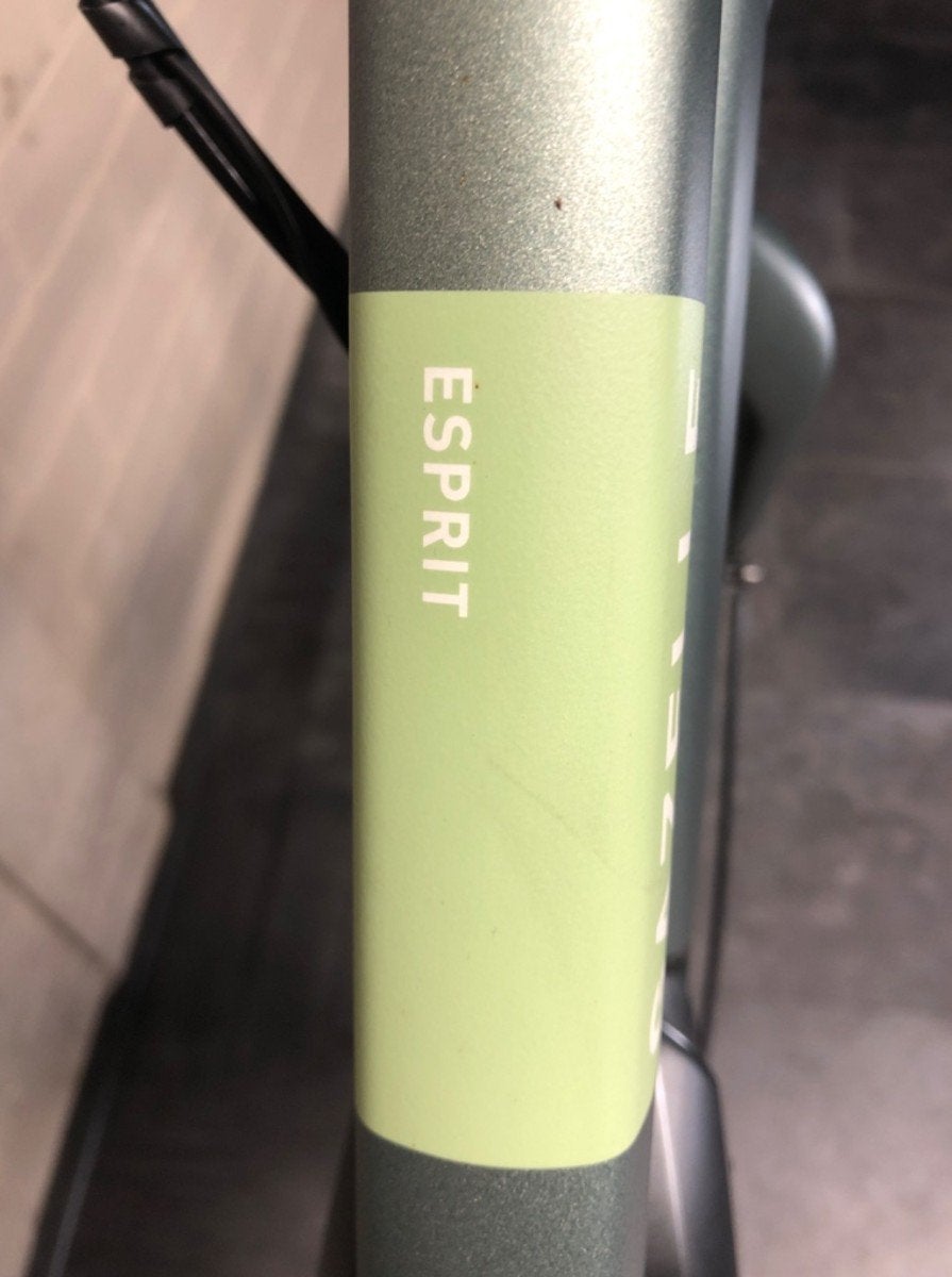 Gazelle Esprit HMS nagenoeg nieuw Dames Moss Green 54cm 2023, Ophalen, Gebruikt, -, -