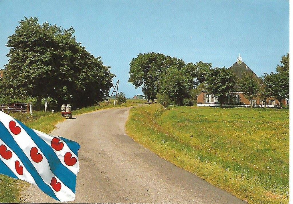 Friesland- -Landschap met vlag., Verzenden, 1980 tot heden, Gelopen, Friesland