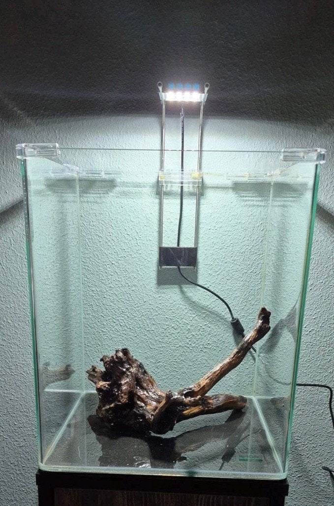Dennerle Nano cube 30 ltr compleet met heel veel spullen, Dieren en Toebehoren, Ophalen