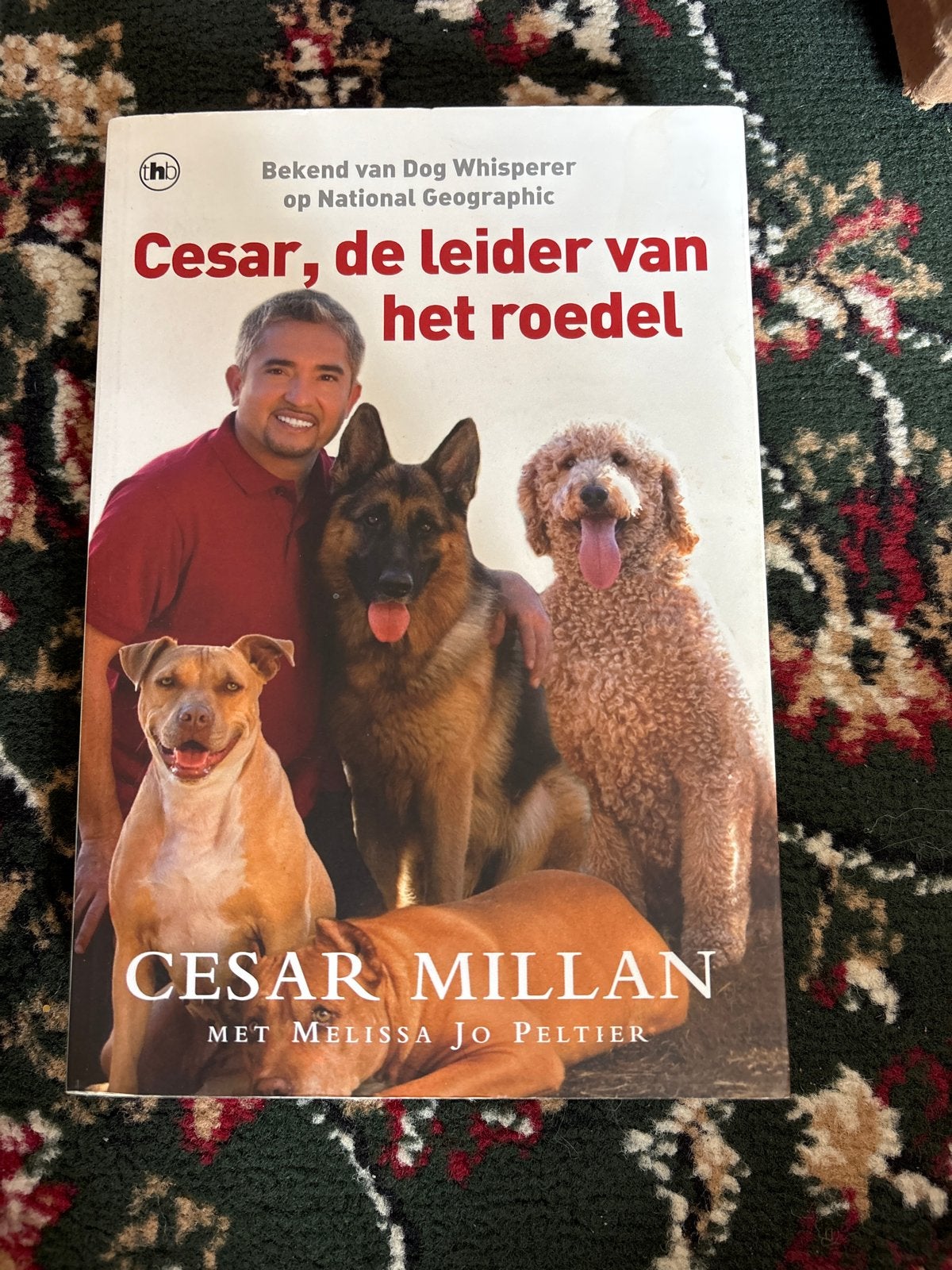 Cesar Millan - Cesar, de leider van het roedel, Boeken, Dieren en Huisdieren, Gelezen, Honden, Ophalen of Verzenden