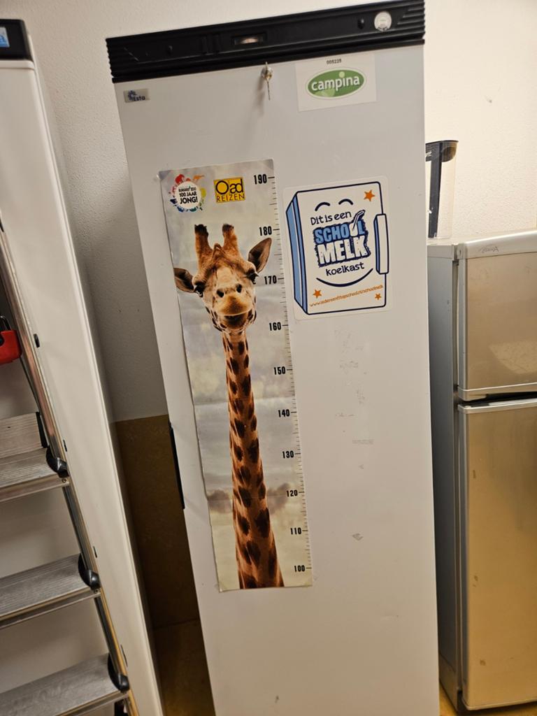 Gratis kapotte koelkast, 200 liter of meer, Ophalen, Zonder vriesvak, 160 cm of meer