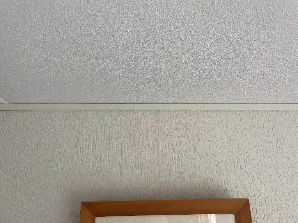 Schilderijrail, Ophalen, Minder dan 50 cm, Gebruikt, Schilderij