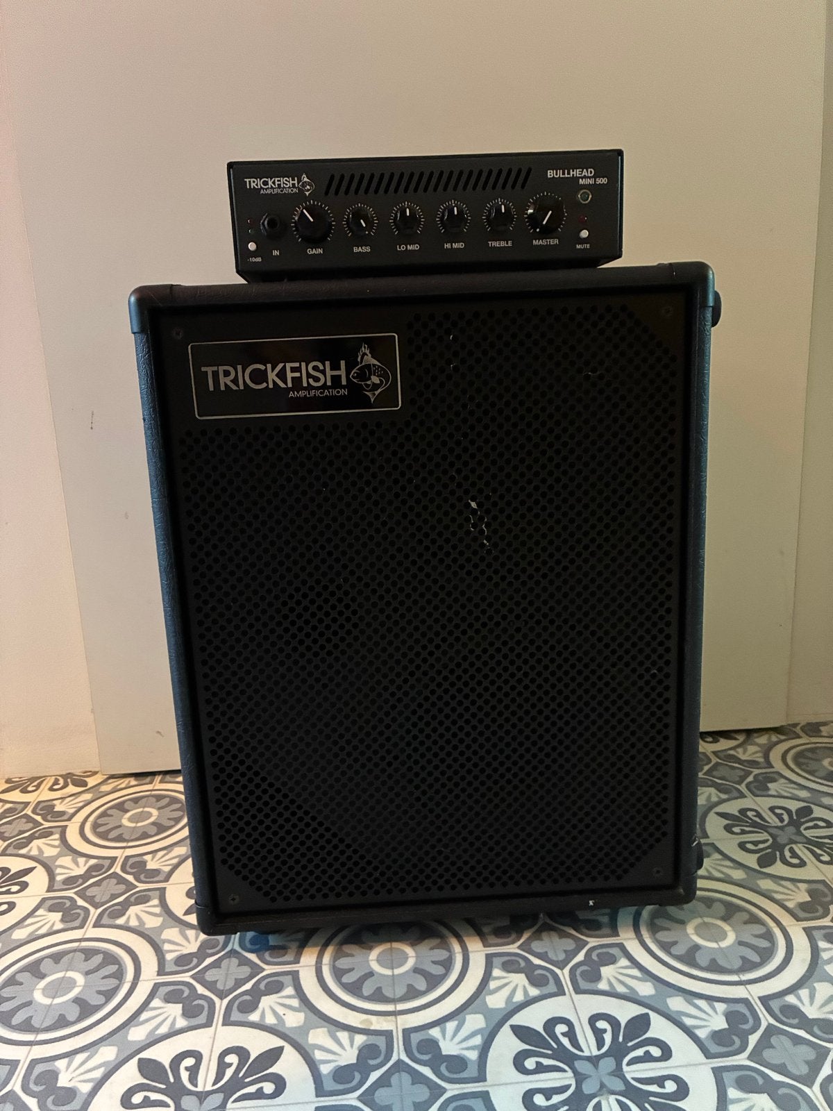 Trickfish 500 mini  basversterker met 2x8 cabinet, Muziek en Instrumenten, Versterkers | Bas en Gitaar, Ophalen, Zo goed als nieuw