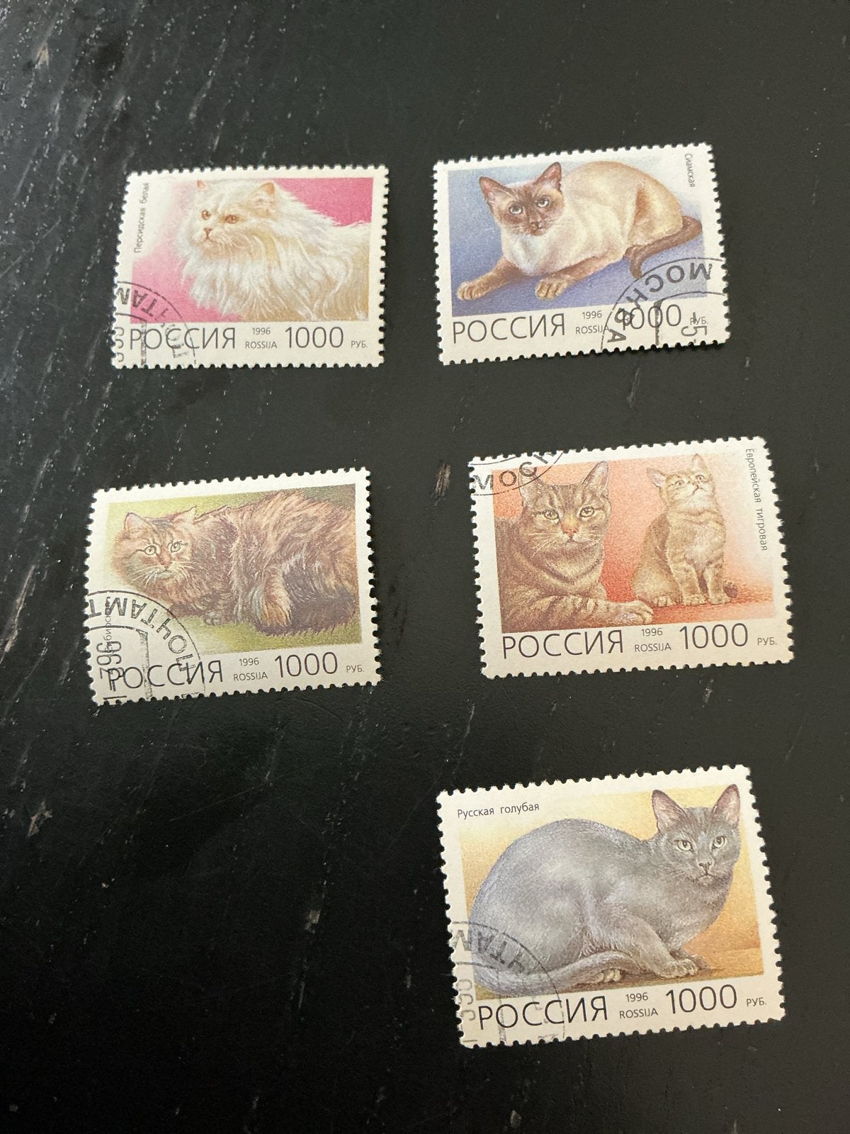 Russische postzegels - Katten (1996), Ophalen of Verzenden, Gestempeld, Dier of Natuur