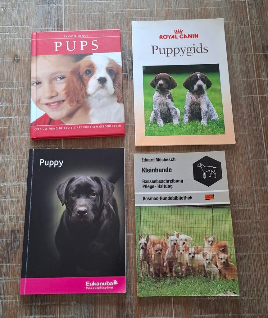Hondenboeken - Alles over honden (ruim 40 boeken), Ophalen of Verzenden, Gelezen, Honden, Diverse auteurs