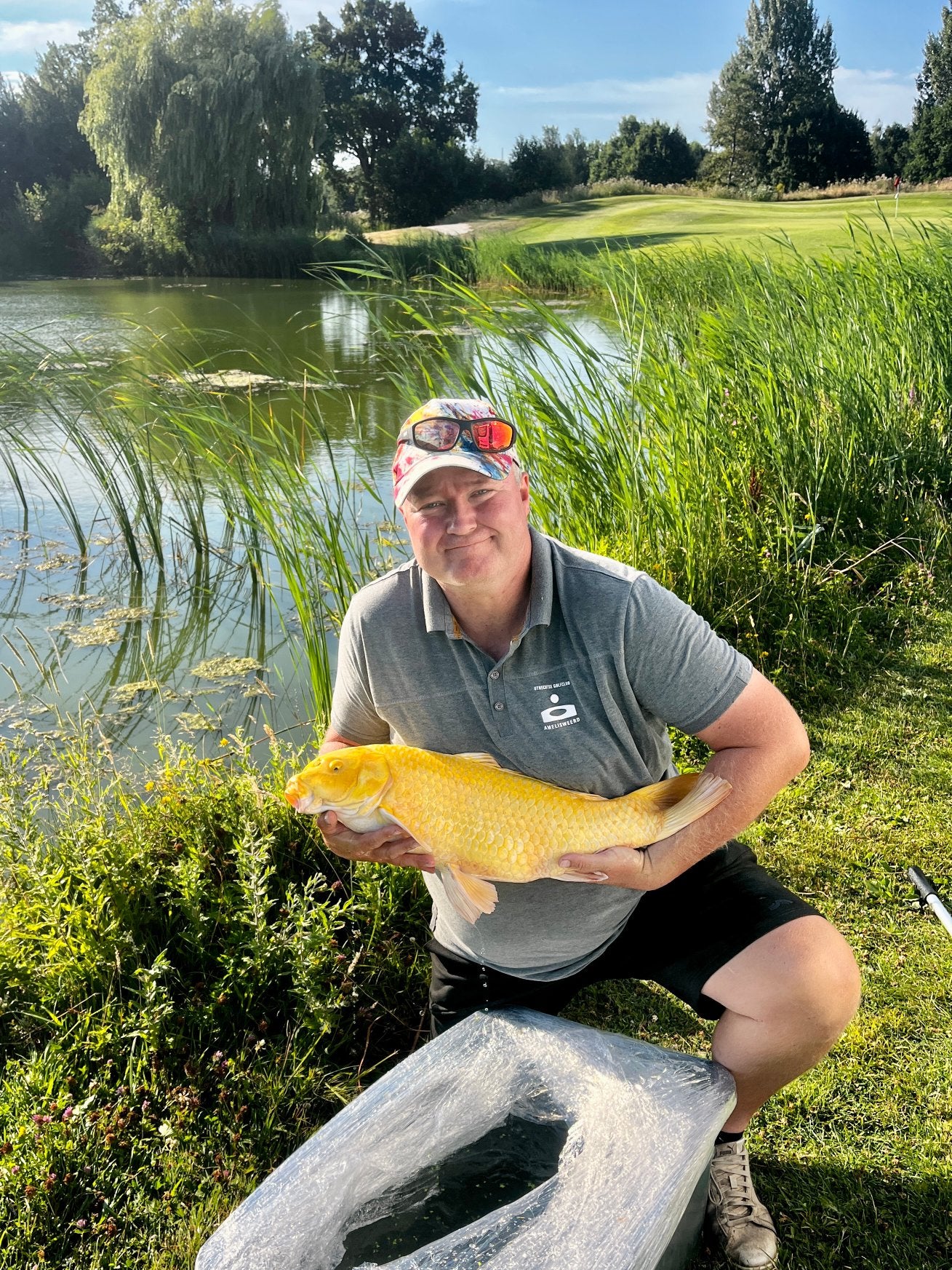 GEVRAAGD: koikarpers, gras- schub- of spiegel-karpers, steur, Karper of Koi