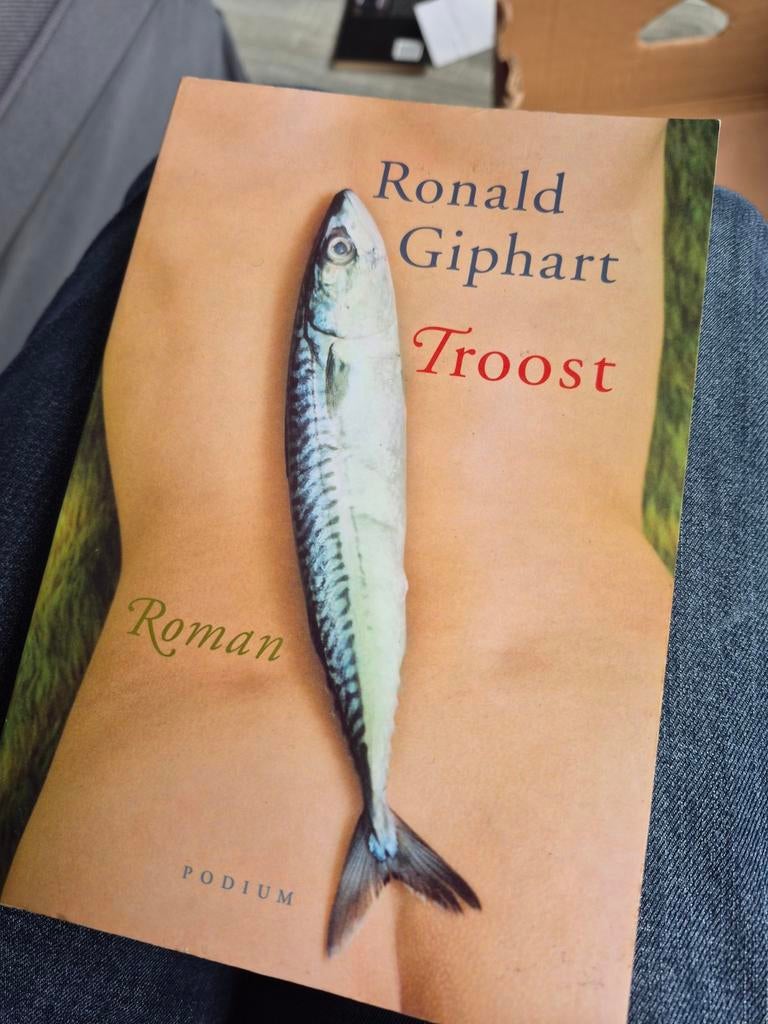 Ronald Giphart - Troost (Roman), Boeken, Romans, Gelezen, Nederland, Ophalen of Verzenden
