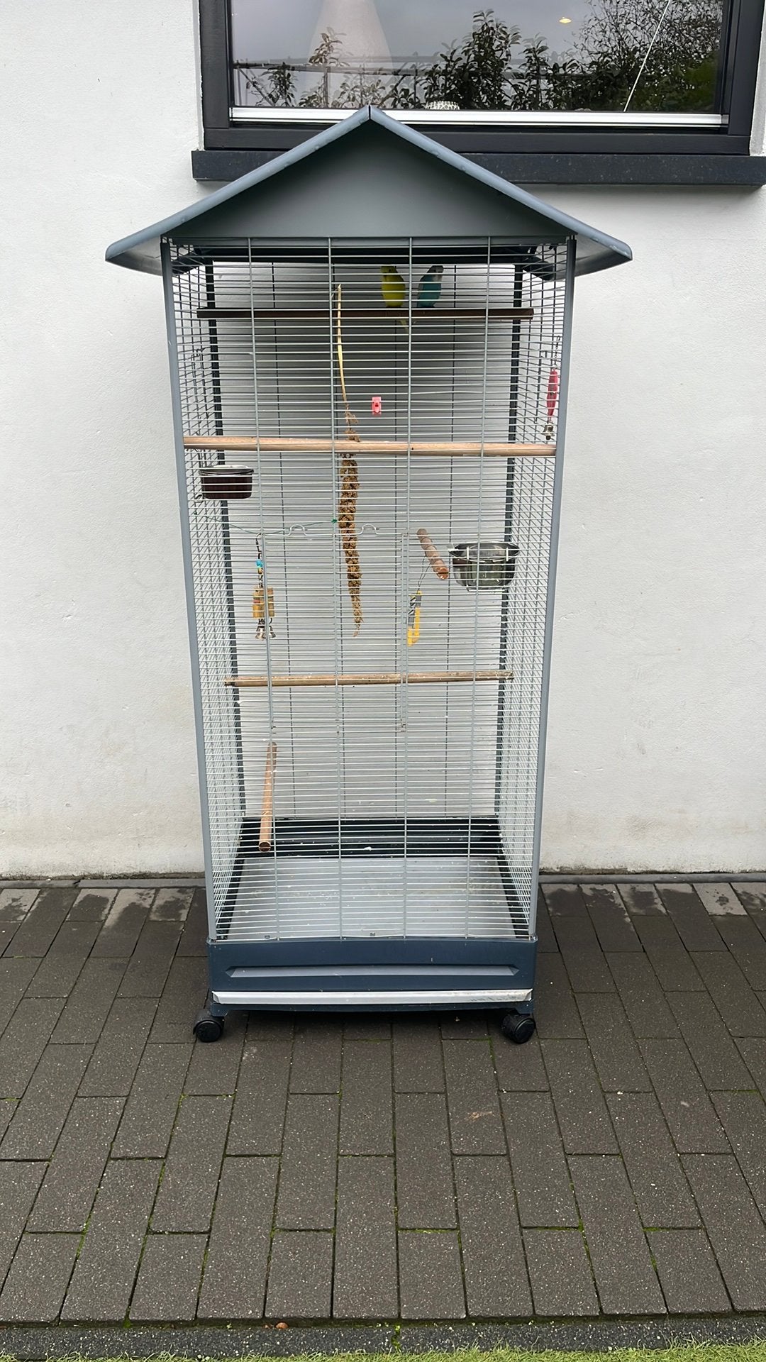 Vogelhok met vogels, Ophalen, Zo goed als nieuw, Aluminium, Vogelkooi