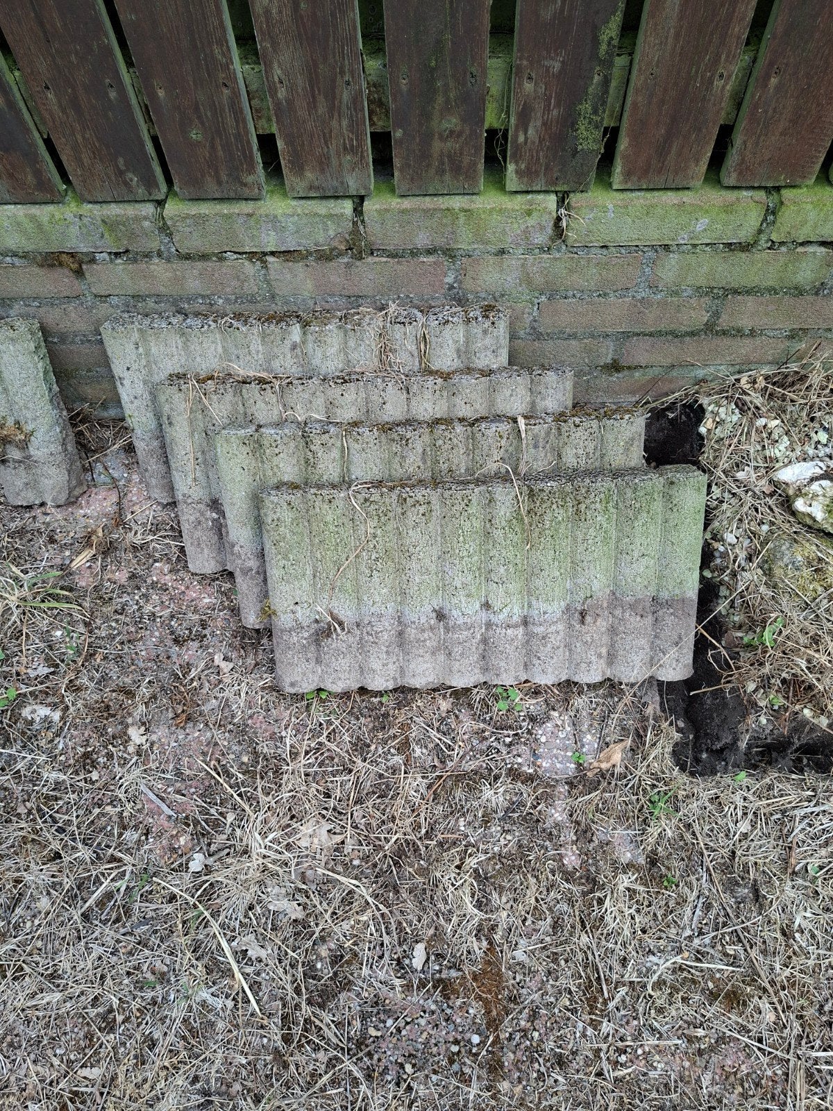 Betonnen border randen 20 stuks (50cm) gratis af te halen, Tuin en Terras, Bielzen en Borders, Ophalen, Gebruikt, Minder dan 100 cm