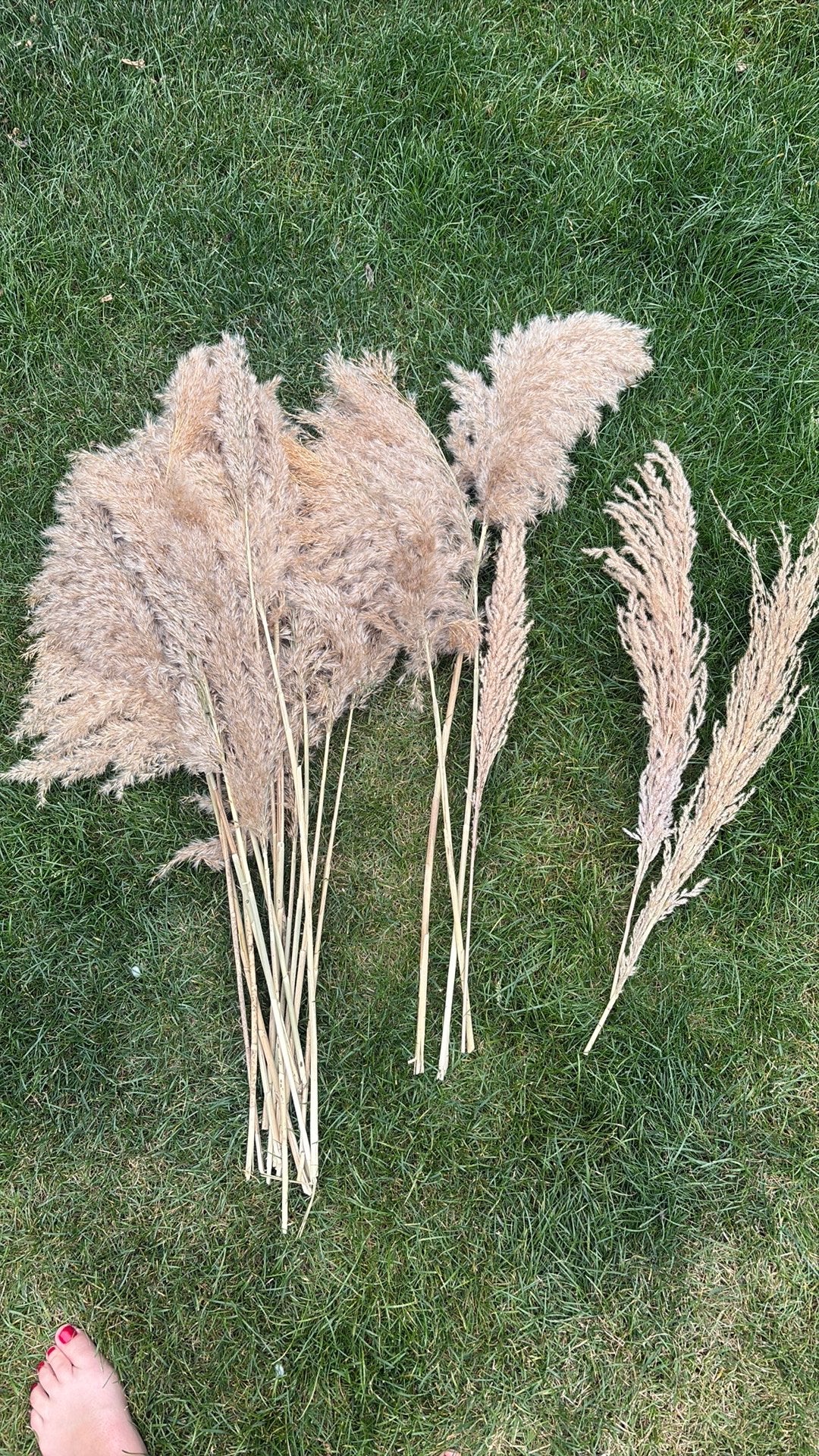 Pluimen grote bos, Huis en Inrichting, Woonaccessoires | Droogbloemen, Ophalen, Zo goed als nieuw