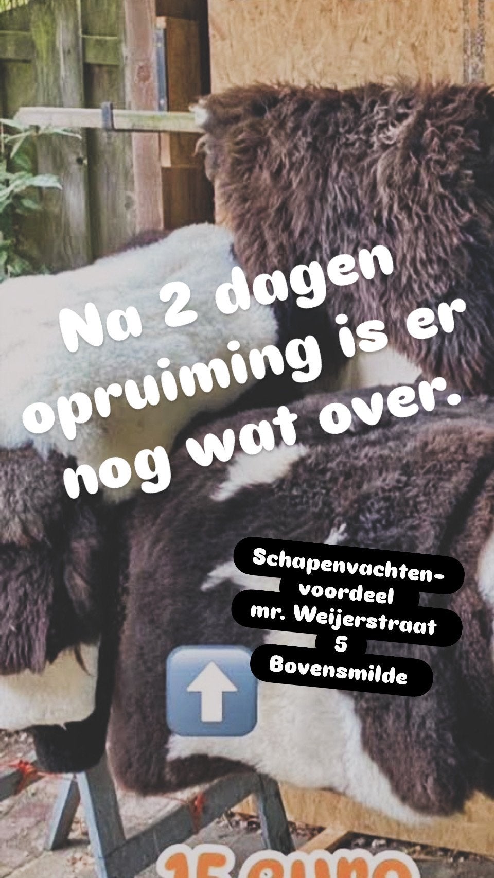 Schapenvachten., Huis en Inrichting, Woonaccessoires | Overige, Ophalen