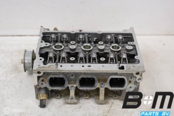 Cilinderkop met kleppen Seat Ibiza 6F DLAA 05C103063A, Gebruikt