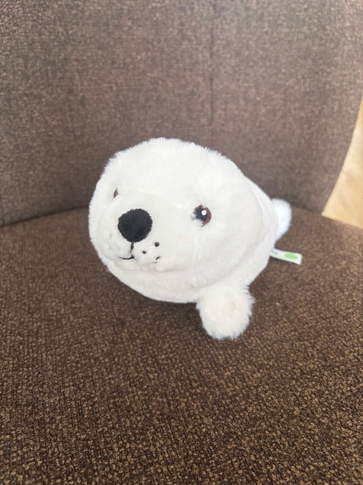 Zeehond eco knuffel 30 cm - Zo goed als nieuw, Kinderen en Baby's, Overige typen, Ophalen of Verzenden, Zo goed als nieuw, Middelgroot (20 tot 80 cm)