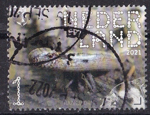 BDN – Dwingelderveld – hazelworm – gebruikt - NVPH 3902, Verzenden, Na 1940, Gestempeld