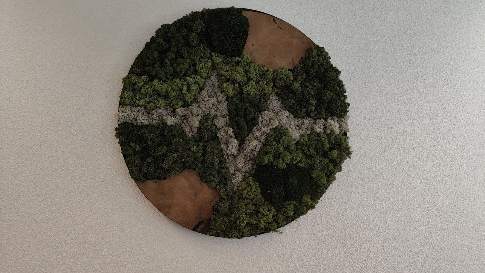 Uniek handgemaakt mosschilderij met logo, Botanisch, Ophalen, Nieuw, Wandcirkel