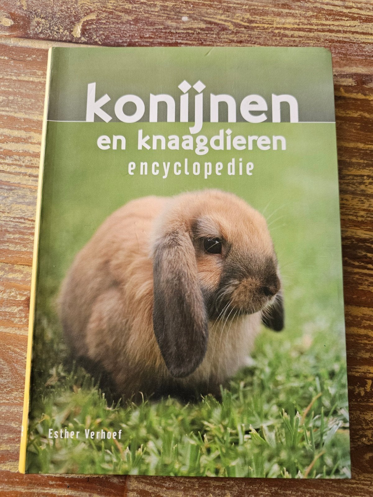 Konijnen en Knaagdieren Encyclopedie - Esther Verhoef, Nieuw, Esther Verhoef, Konijnen of Knaagdieren, Ophalen of Verzenden