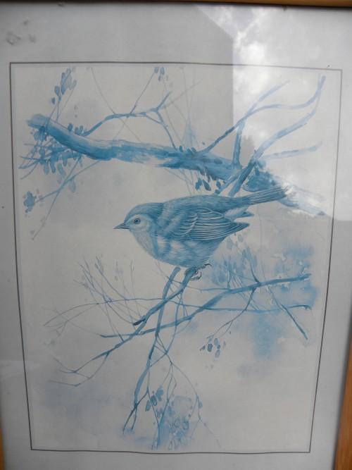 Prent van koolmees in blauw tinten in houten lijst, Ophalen of Verzenden, 'T Olde Gre-j, Info@toldegrej.nl, Endepoelstraat 20f Didam