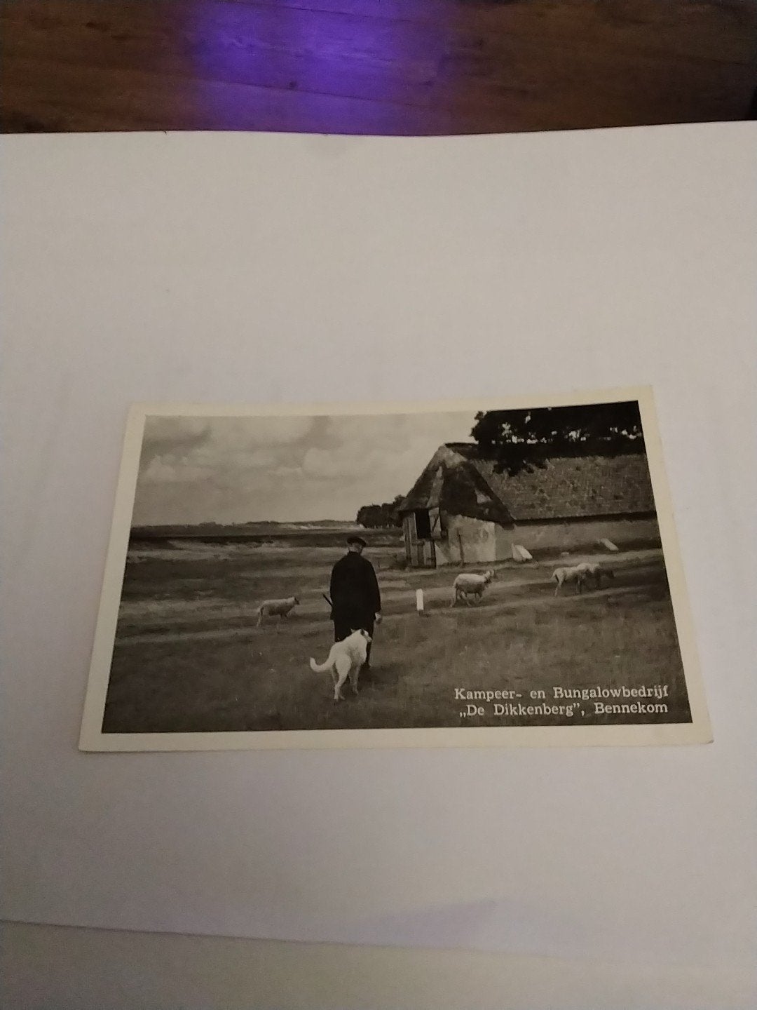 Oude ansichtkaart Kampeer- en Bungalowbedrijf Bennekom, Ophalen of Verzenden, Gelderland