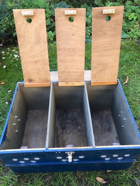 3 vervoerskisten -klein- pluimvee, cavia  e.d., Meerdere dieren, Kip