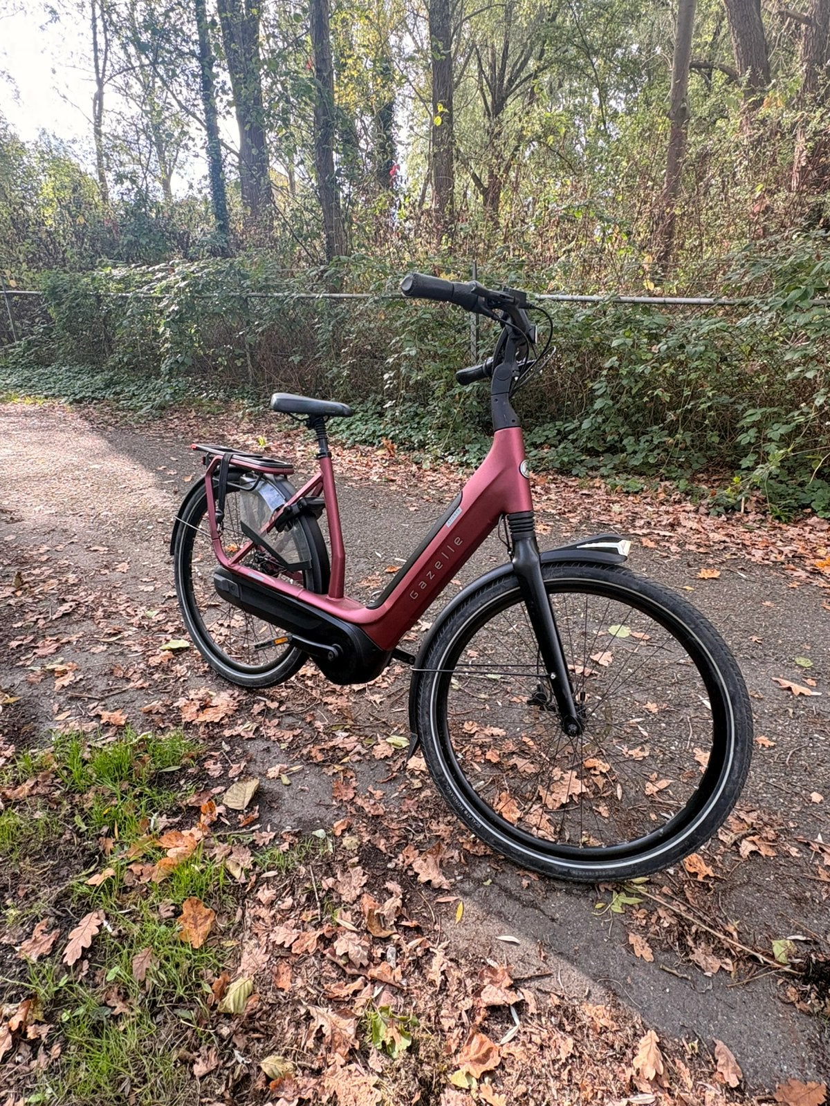 Gazelle avignon, Ophalen, Zo goed als nieuw, 50 km per accu of meer, 55 tot 59 cm