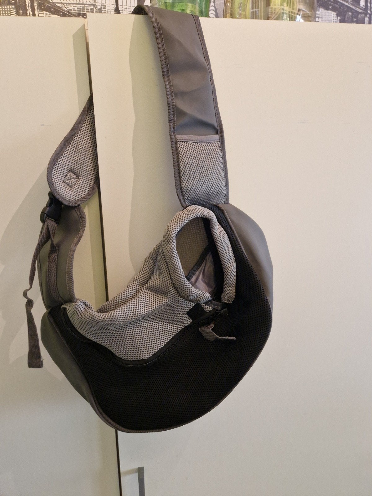 honden draagtas, Dieren en Toebehoren, Honden-accessoires, Ophalen of Verzenden, Nieuw, Draagtas/-zak