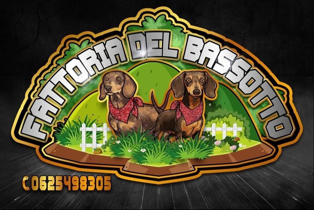 medewerker voor onze kennel gezocht, Trimmen of Verzorging