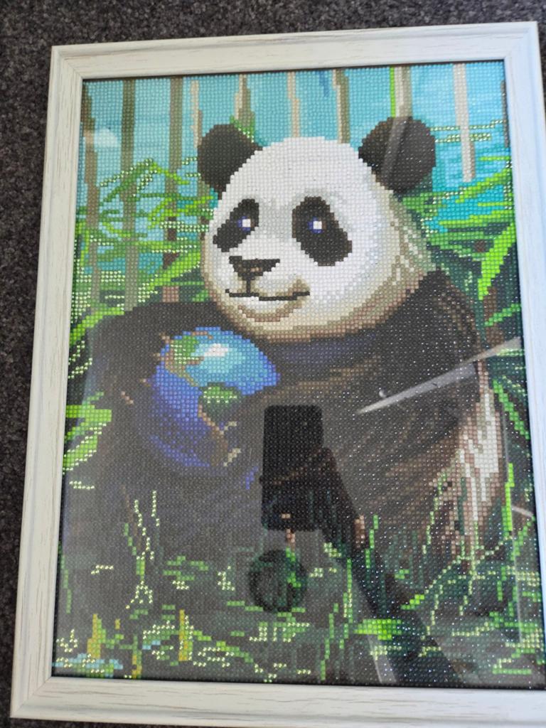 Diamond Painting Panda met Wereldbol Ingelijst, Ophalen of Verzenden, Zo goed als nieuw, Overige typen
