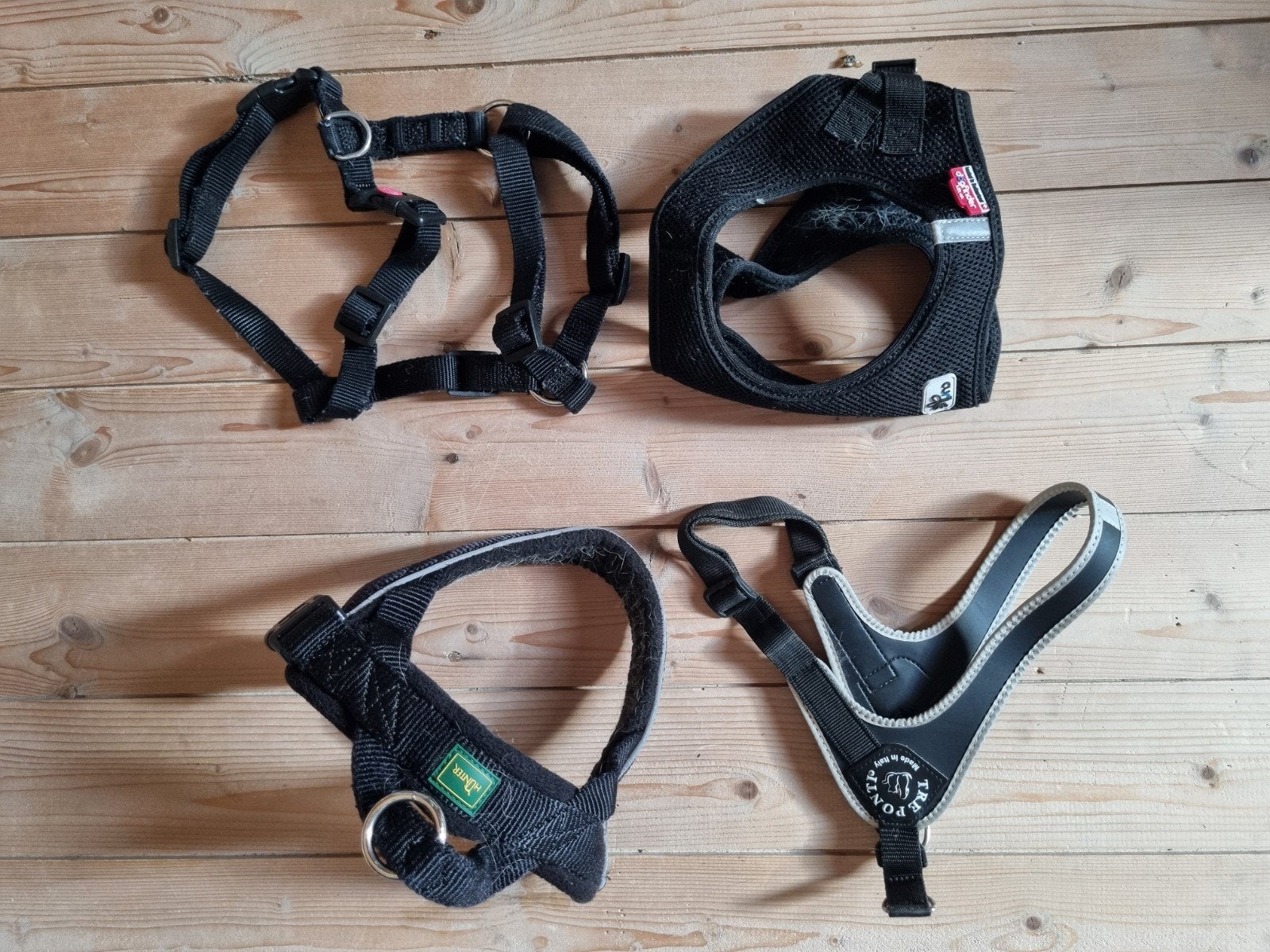 4 tuigjes Mt. Jack russel, Hunter / tre ponte / Curli, Dieren en Toebehoren, Ophalen of Verzenden