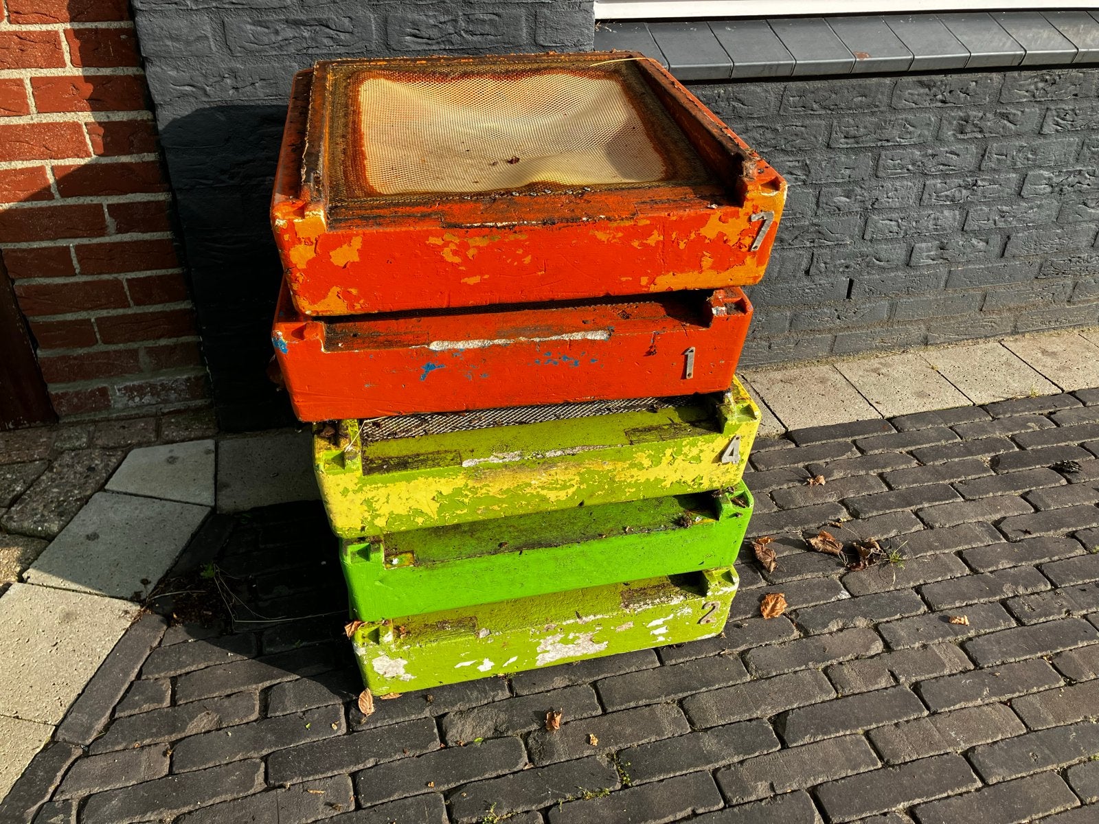 5 segeberger bijenkast bodems, Bijen