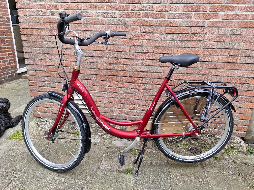 Damesfiets, Versnellingen, Trommelrem, Ophalen, Overige merken