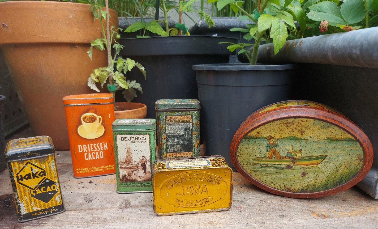6 x oud Hollands cacao blikje zie foto's, Verzamelen, Blikken, Ophalen of Verzenden, Gebruikt, Overige