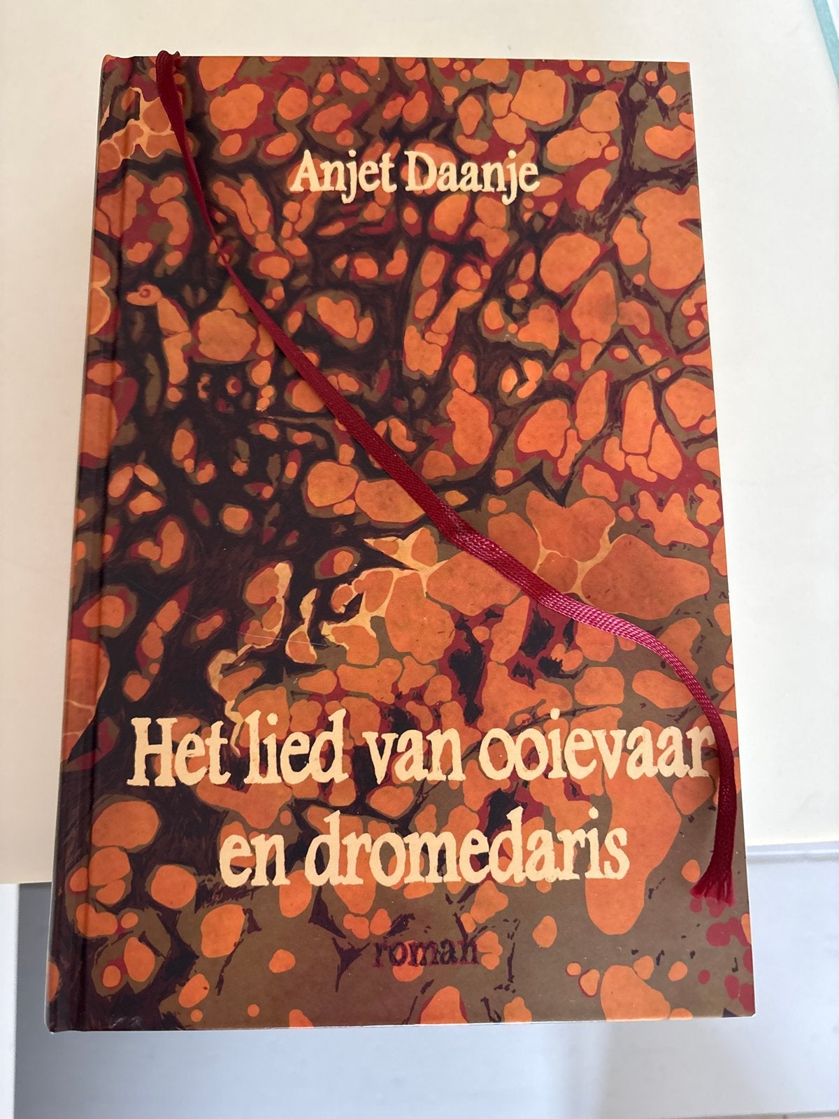 Het lied van ooievaar en dromedaris - Anjet Daanje, Boeken, Ophalen, Zo goed als nieuw, Nederland