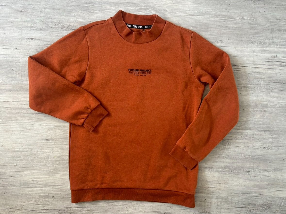 Cars cognac kleur sweater maat 164, Ophalen of Verzenden, Gebruikt, Jongen, Trui of Vest