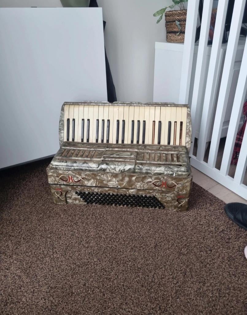 Accordeon voor verzamelaar/klusser - decoratie, Muziek en Instrumenten, Accordeons, Overige merken, Gebruikt, Overige formaten