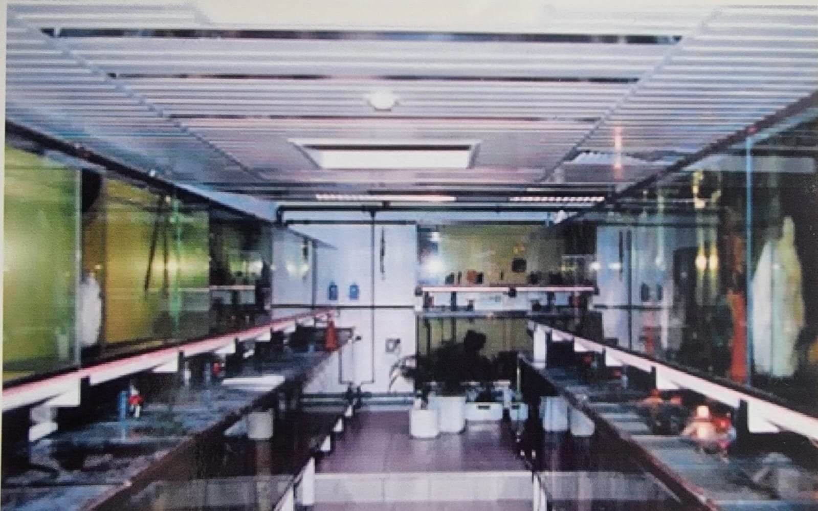 Aquariumstelling, Ophalen, Gebruikt, Leeg aquarium