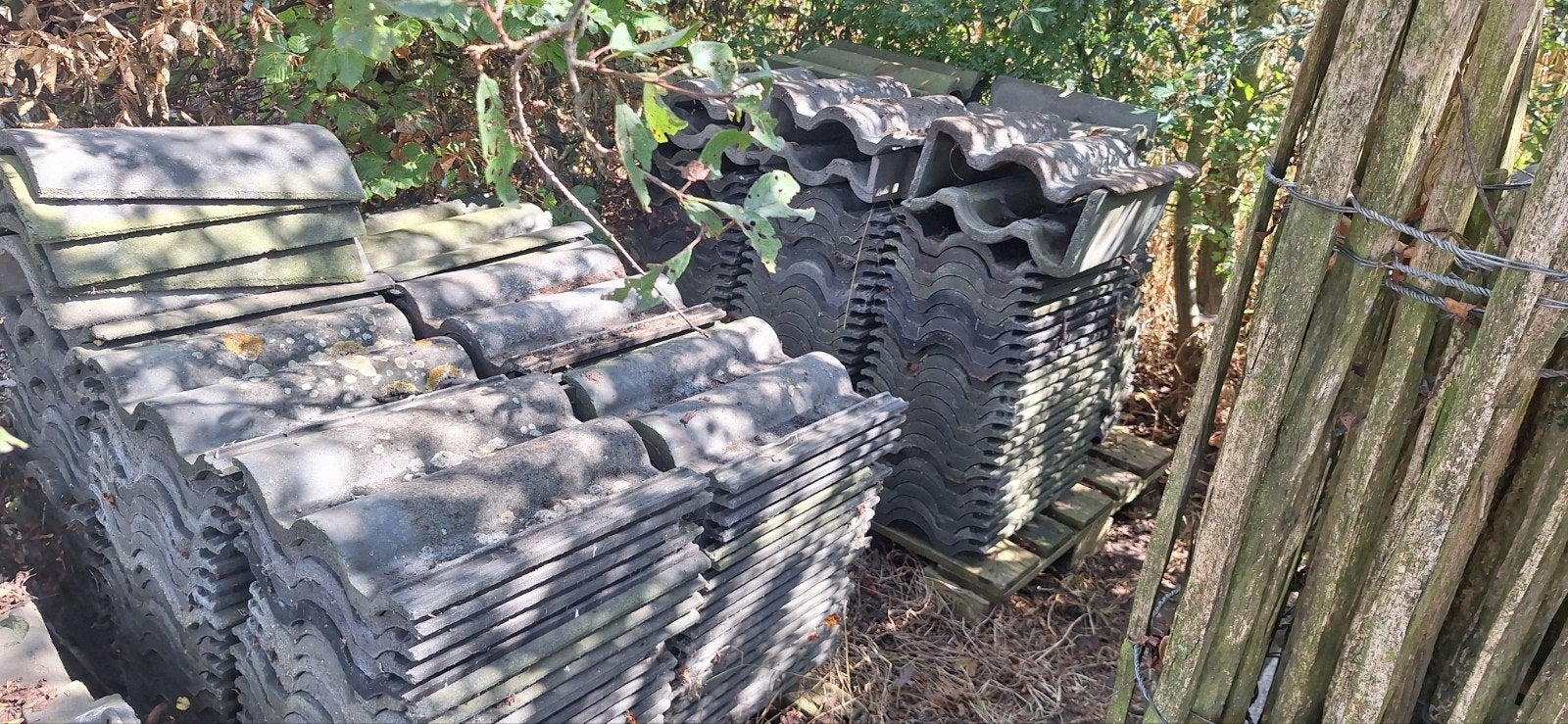 230 betonnen dakpannen met 13 hoekpannen, Ophalen, Gebruikt, Steen of Klei, 15 m² of meer
